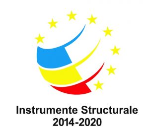 Instrumente-Structurale-logo-300x272